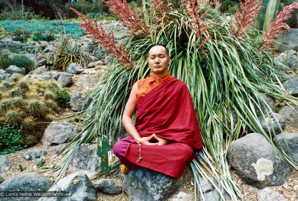 (12530_pr.jpg) Lama Yeshe meditating in the botanical gardens, Berkeley, California, 1974 Photo donated by Judy Weitzner.